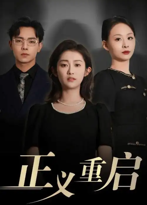 扫黑风暴 电视剧 2024
